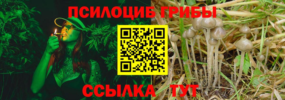 Псилоцибиновые грибы MAGIC MUSHROOMS  Галлюциногенные грибы мицелий  Касимов  Вход с VPN 